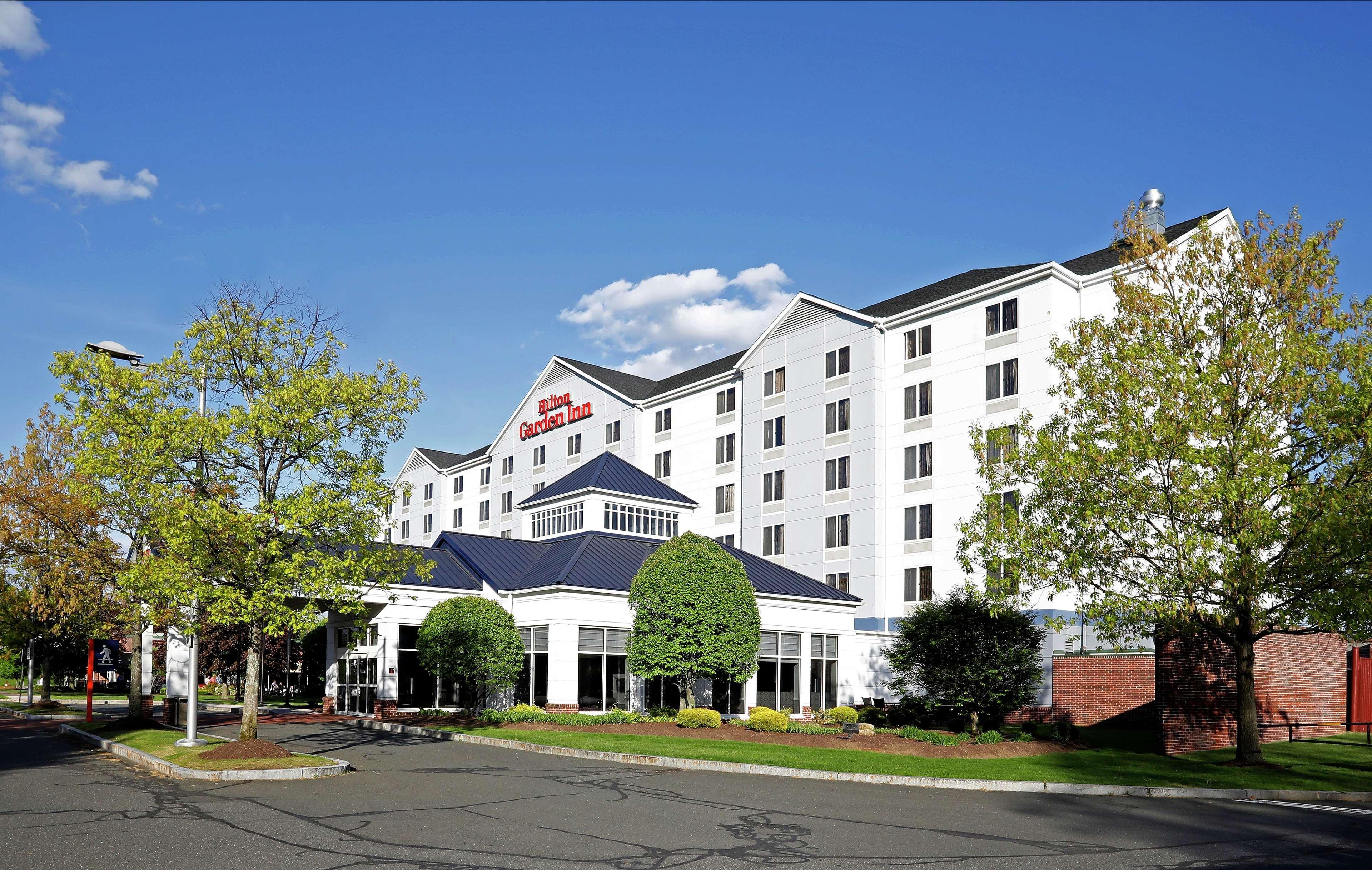 Hilton Garden Inn Springfield, MA Buitenkant foto