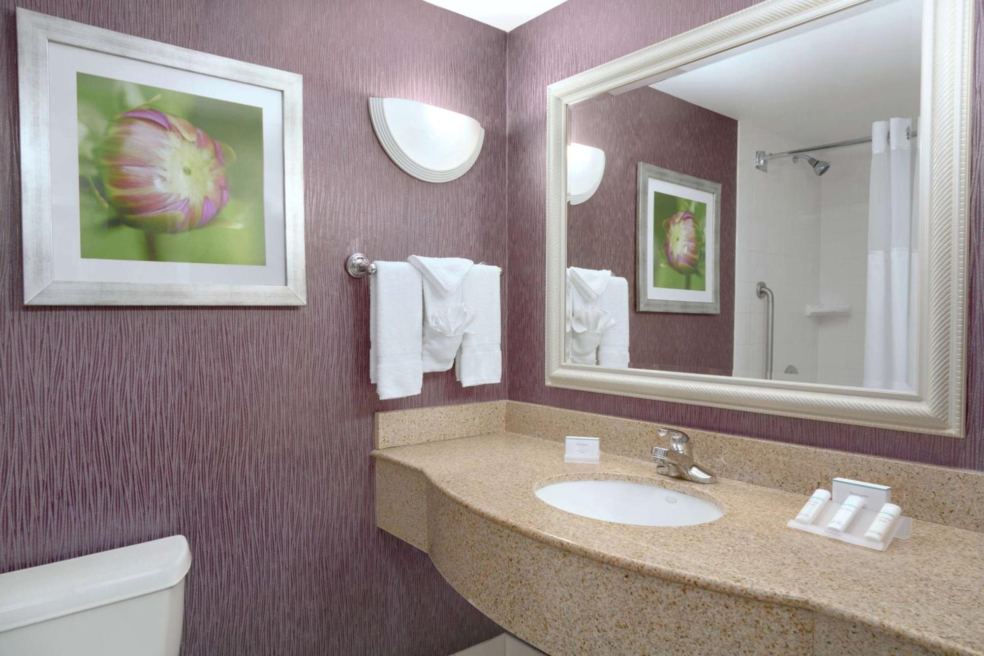 Hilton Garden Inn Springfield, MA Buitenkant foto