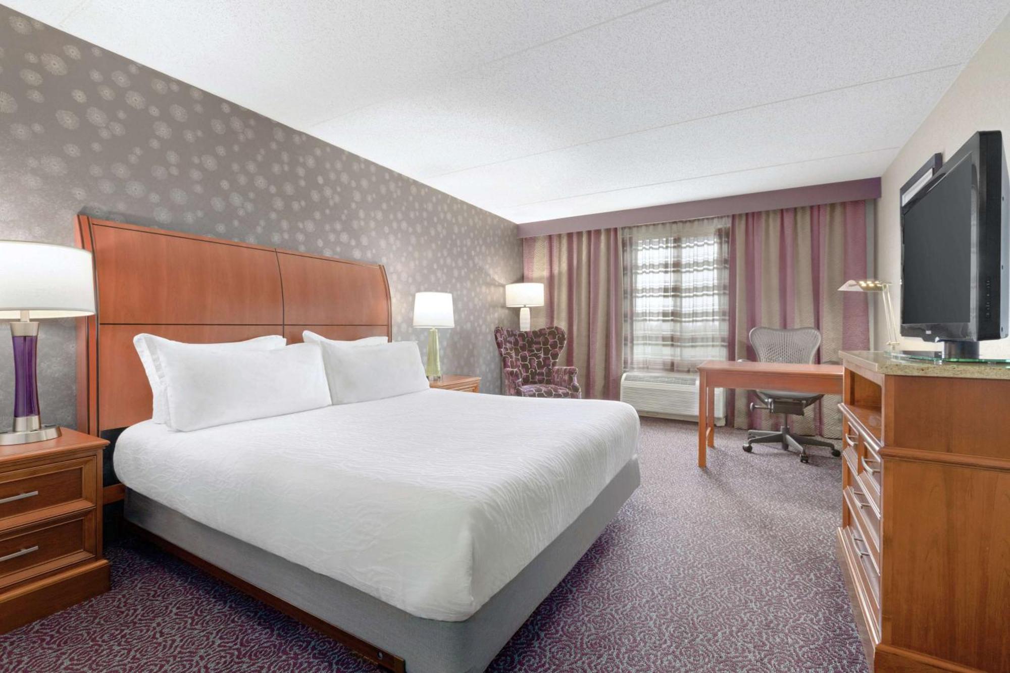 Hilton Garden Inn Springfield, MA Buitenkant foto