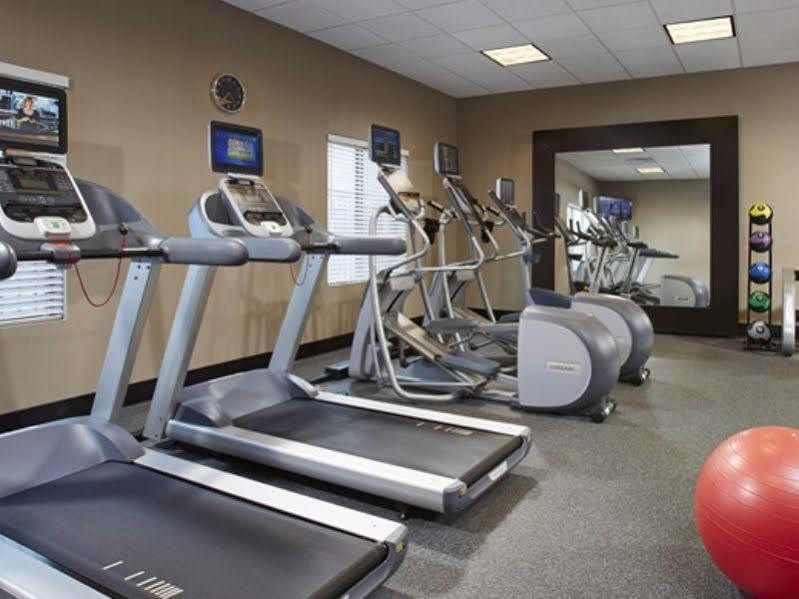 Hilton Garden Inn Springfield, MA Buitenkant foto
