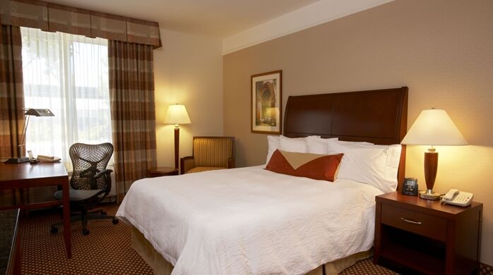 Hilton Garden Inn Springfield, MA Buitenkant foto